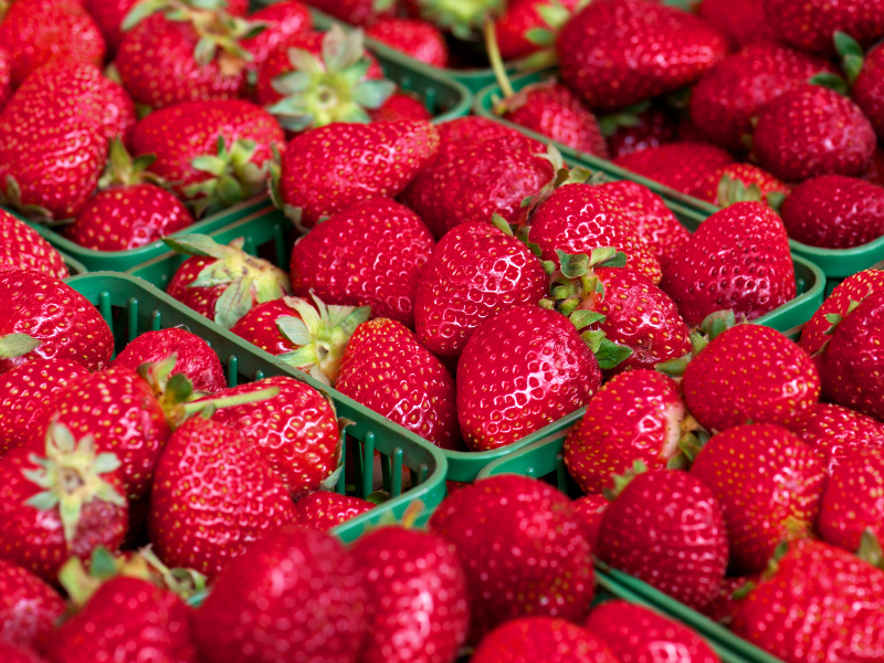 Cartons of Strawberries