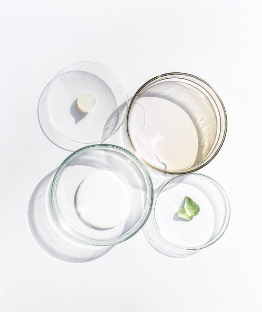 understanding SIBO and IBS microbiome health