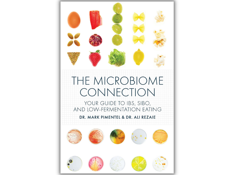 the microbiome connection sibo book
